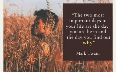 顧問 x 教練 x 網課?